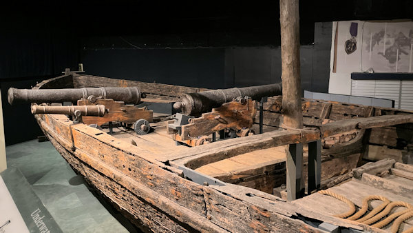 Model Image